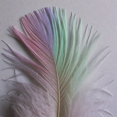 Colorful Rainbow Ostrich Feather