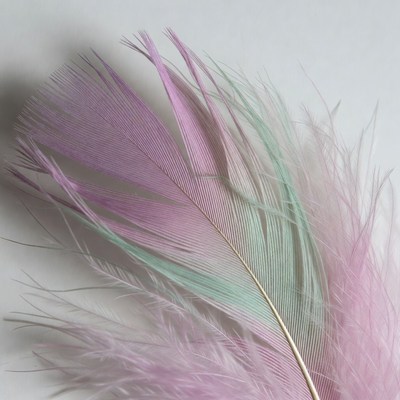 Colorful Pink Green Feathers