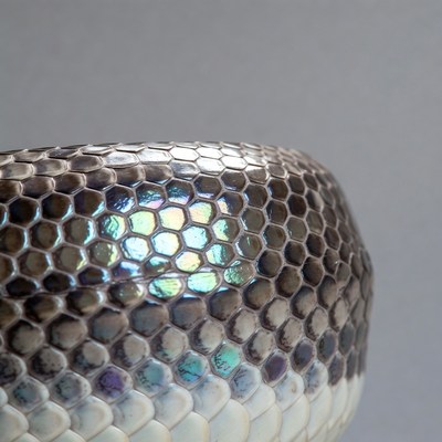Iridescent Snake Skin Closeup