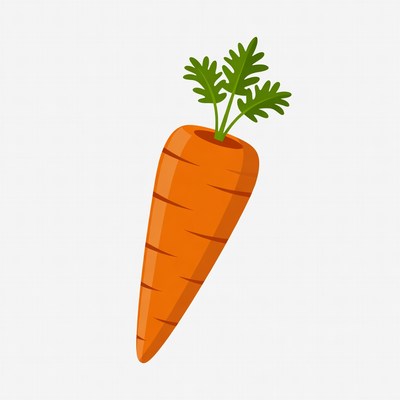 Carrot illustration on white background