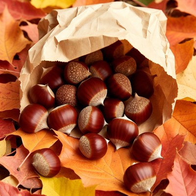 Chestnuts spilling from paper bag