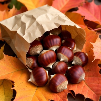Chestnuts in Brown Bag on Autumn Leaves