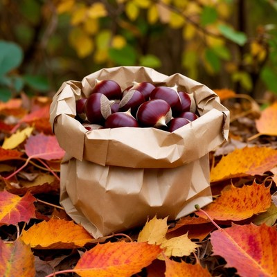 Chestnuts in Brown Paper Bag