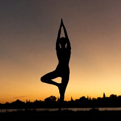 Woman in Tree Pose Yoga Silhouette