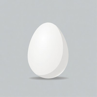 White egg on gray background