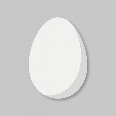 White Egg on Gray Background