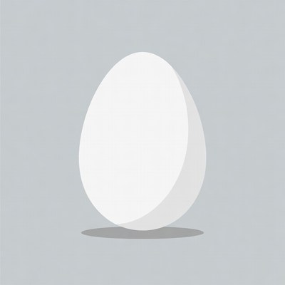 White egg on gray background