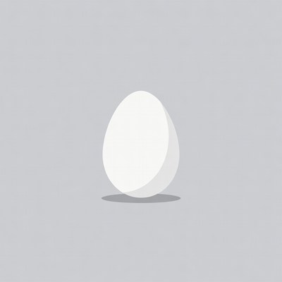 White egg on gray background
