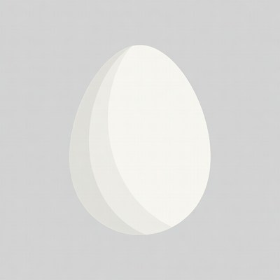 White egg on gray background