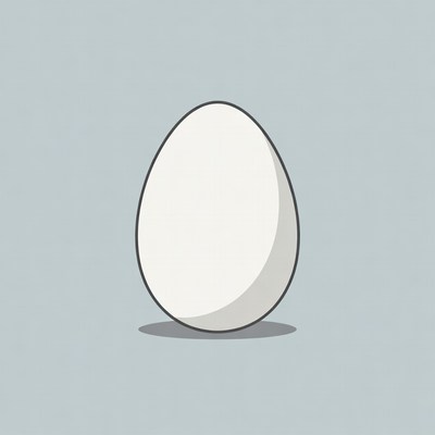 White egg illustration