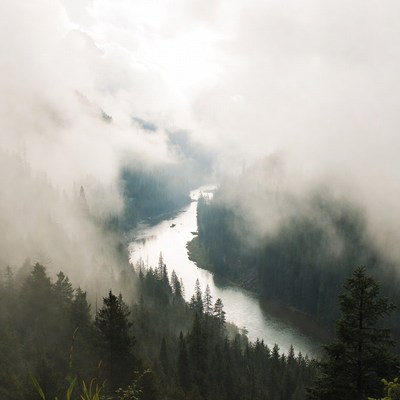 Foggy River in Forested Mountains