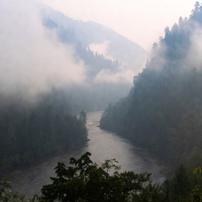Foggy River in Forested Mountains