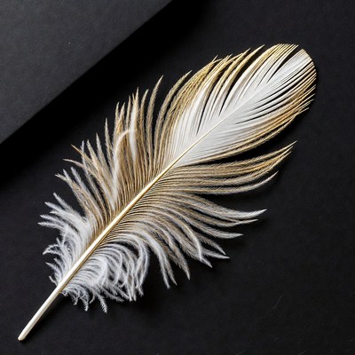 White and Gold Feather on Black