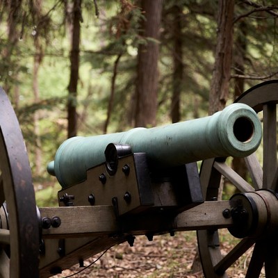 Civil War Cannon in Forest