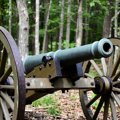 Civil War Cannon in Forest