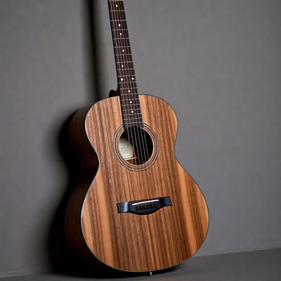 Taylor Acoustic Guitar on Gray Background