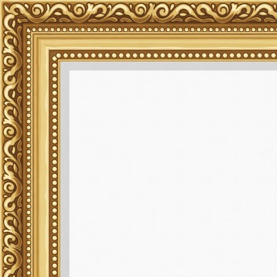 Ornate Gold Picture Frame