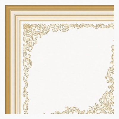 Ornate Gold Ornamental Picture Frame