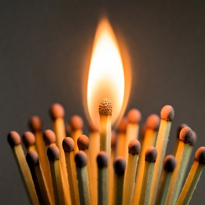 Lit match among unlit matches