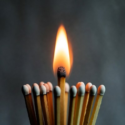 Lit Matchstick Among Unlit Matches