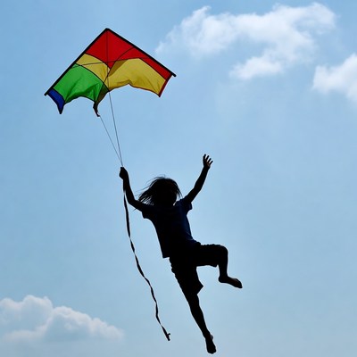 Boy flying colorful kite silhouette