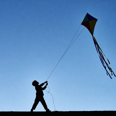 Boy flying colorful kite silhouette