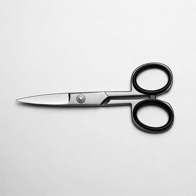 Silver scissors with black handles