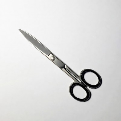 Silver scissors on white background