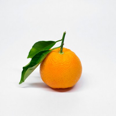Fresh orange with green leaf