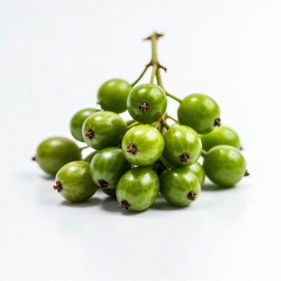 Cluster of Green Unripe Berries