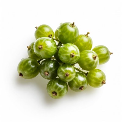 Fresh Green Gooseberries Cluster
