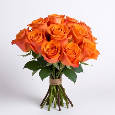 Orange Roses Bouquet on White Background