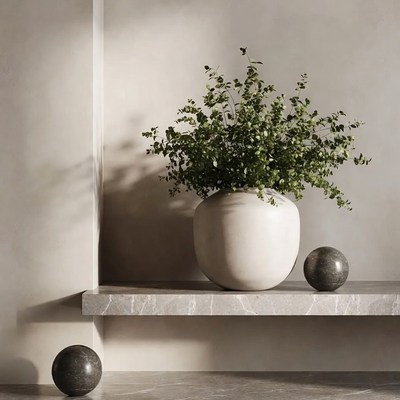 Eucalyptus Plant in White Vase on Marble Shelf