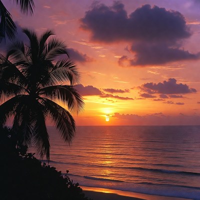 Palm Trees at Tropical Sunset Beach