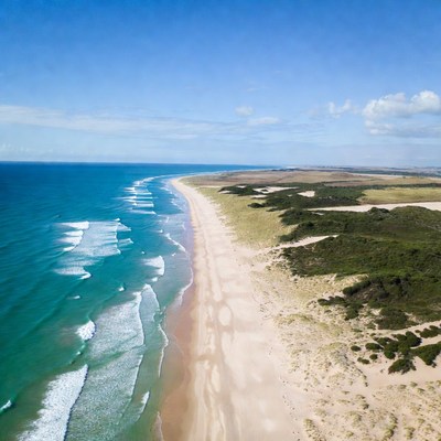 Aerial View of Sandy Beach and Ocean