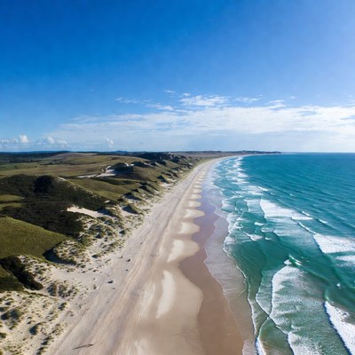 Aerial View of Sandy Beach with Dunes