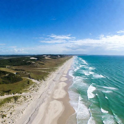 Aerial View of Sandy Beach and Ocean
