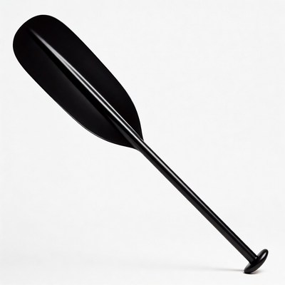 Black canoe paddle isolated