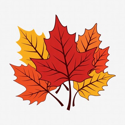 Colorful Autumn Maple Leaves Clipart