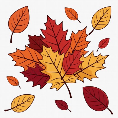 Colorful Autumn Maple Leaves Illustration