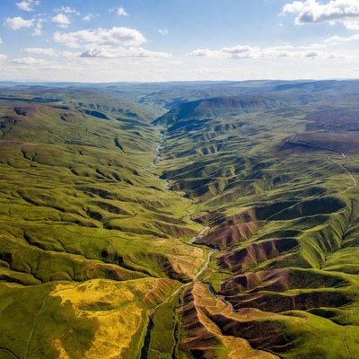 Aerial view of green valley with river