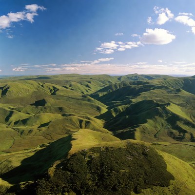 Green Rolling Hills Landscape