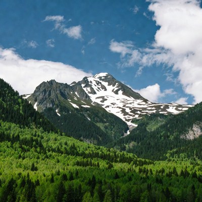 Snow-capped Mountain with Green Forests