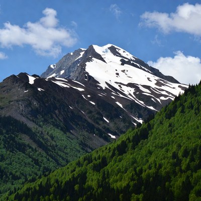 Snow-capped mountain with green forests