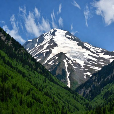 Snow-capped mountain peak with green forests