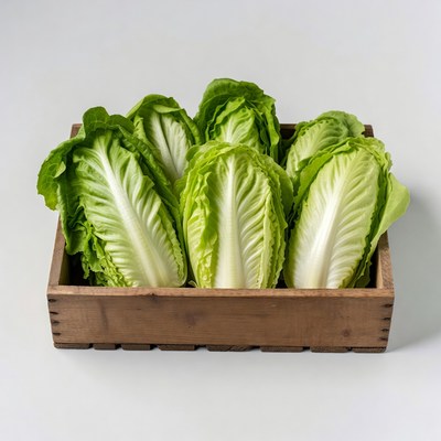 Fresh Lettuce in Wooden Crate