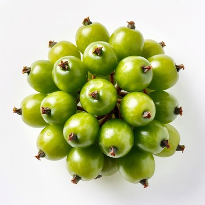 Cluster of Fresh Green Grapes