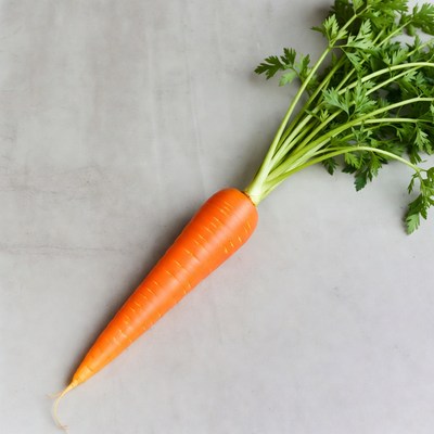 Fresh carrot with green tops