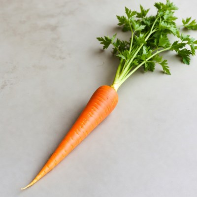 Fresh carrot with green tops