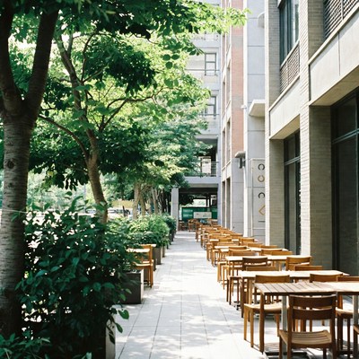 Outdoor Wooden Tables Lined in Green Courtyard